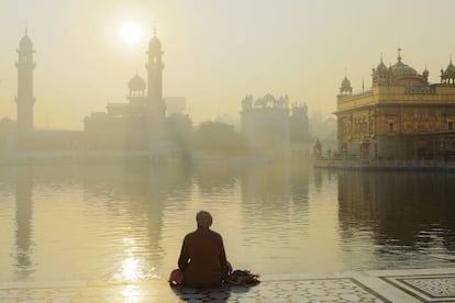 Un peregrino sij reza en el Templo de Oro en Amritsar (India).