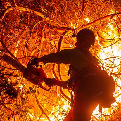 A firefighter extinguishes the fire as the Palisades Fire, one of several simultaneous blazes that have ripped across Los Angeles County, burns in Mandeville Canyon, a neighborhood of Los Angeles, California, U.S., January 12, 2025. REUTERS/Ringo Chiu     TPX IMAGES OF THE DAY