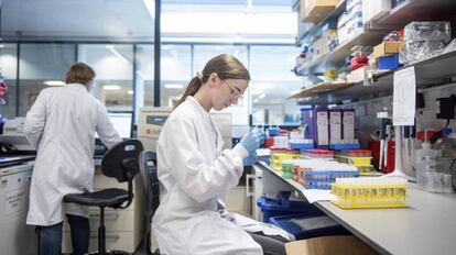 Un laboratorio de la Universidad de Oxford en el que analizan muestras para la vacuna.