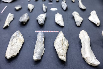 A selection of the nearly 30 bone knives found in Tanzania.