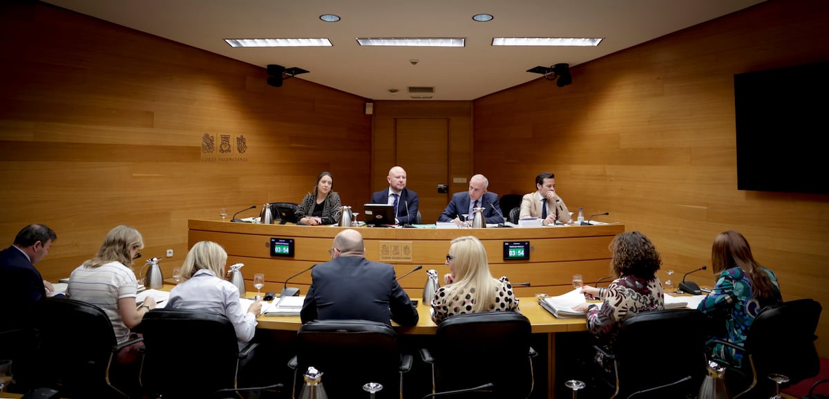 PP y Vox recortan al máximo el presupuesto de la Acadèmia Valenciana de ...