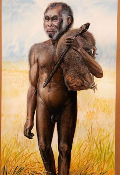 Ilustración del <b>hombre de Flores,</b> Museo Australiano (Sidney)<b>.</b>