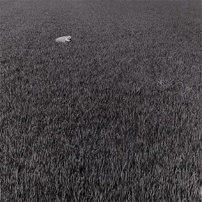 <i>Puerto de Silla, </i>de la serie La Albufera, visión tangencial (1985),de Manuel Úbeda.