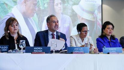 El comisionado y relator para Colombia de la Comisión Interamericana de Derechos Humanos, José Luis Caballero, habla junto a la presidenta de la Comisión Interamericana de Derechos Humanos, Roberta Clarke, en Bogotá.