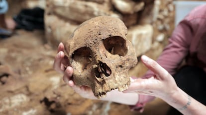 Un cráneo recuperado de la cámara funeraria localizada en la zona arqueológica de Palenque, en el Estado de Chiapas (México)