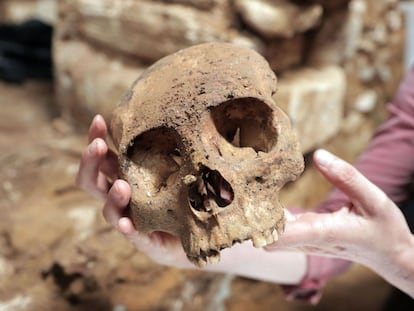 Un cráneo recuperado de la cámara funeraria localizada en la zona arqueológica de Palenque, en el Estado de Chiapas (México).