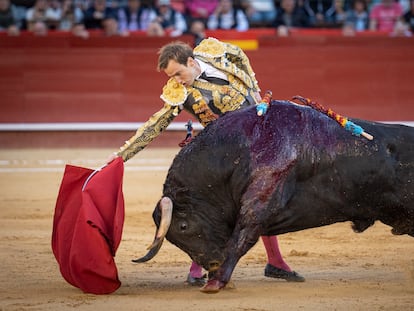 El diestro Román muletea al quinto toro de la tarde, el mejor del encierro.