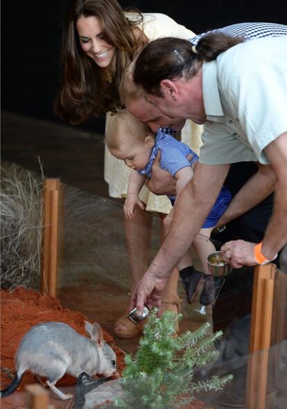 Una de las paradas que más fotografías familiares generó fue su visita al Taronga Zoo de la capital australiana, donde el príncipe Jorge, que tiene una niñera de origen español, se mostró entusiasmado con los animales que le mostraban y los peluches que le regalaron.