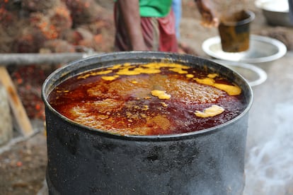 Un recipiente lleno de palma aceitera. Este producto es originario de África occidental y es tan importante para la cultura local como el aceite de oliva para los países mediterráneos. Sin embargo, sus aplicaciones industriales han llevado a la expansión de los monocultivos a costa de los bosques tropicales con mayor diversidad biológica del planeta. 