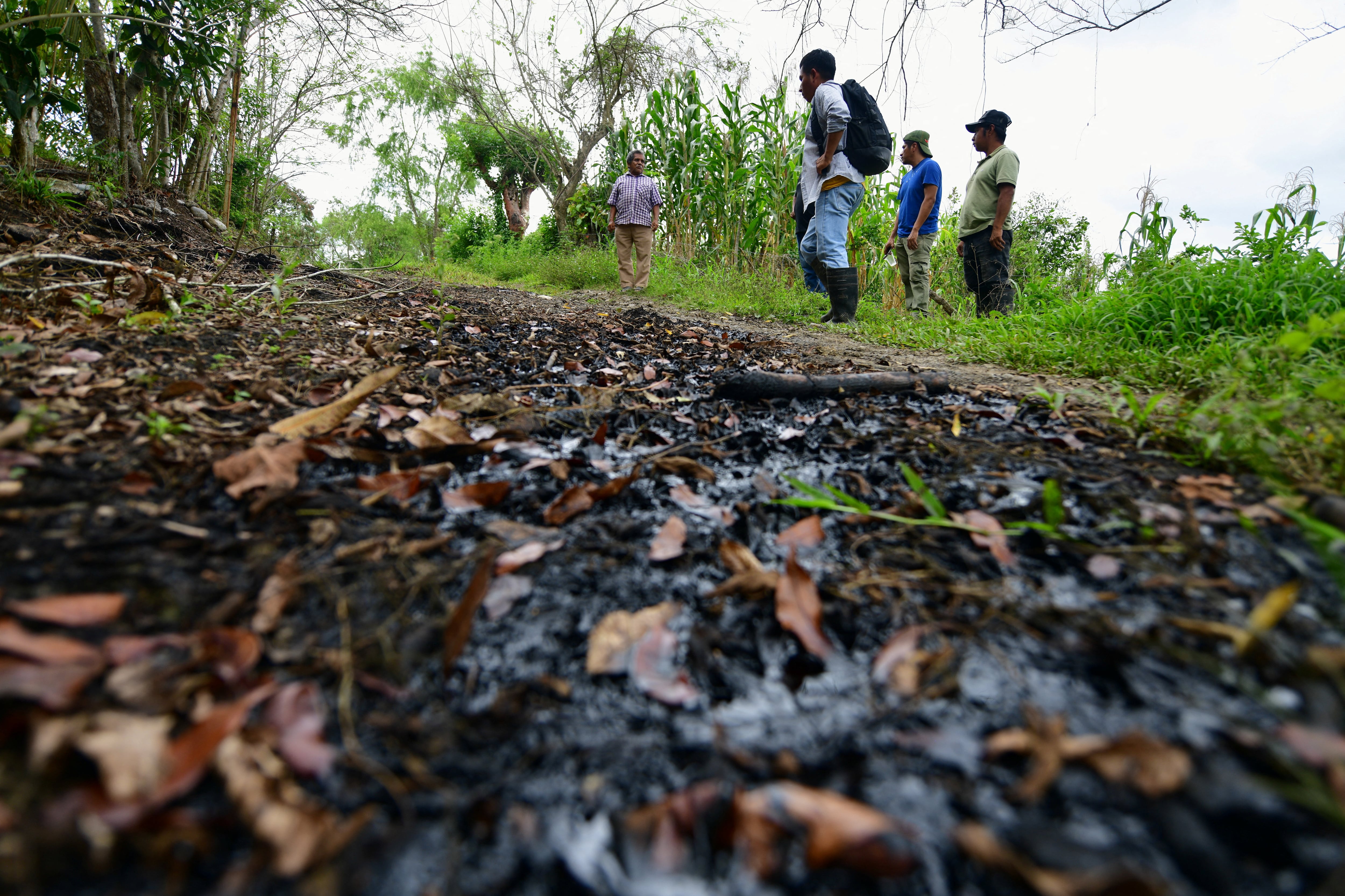 Pemex se desmarca del derrame kilométrico de un arroyo en Veracruz