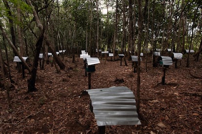 En la tribu Meliponini se agrupan las “abejas sin aguijón”, con más de 120 especies en Colombia