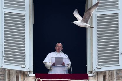 Una gaviota vuela cerca del Papa Francisco mientras pronuncia la oración dominical desde el palacio apostólico que domina la plaza de San Pedro.