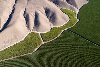 El verde de los viñedos contrasta con las laderas peladas de la montaña en Nantoco, cerca de la localidad de Copiapó, a unos 800 kilómetros al norte de Santiago de Chile. En Google Maps se aprecia cómo las manchas verdes acompañan las carreteras C-35 y C-411 (sobre la que se tomó esta foto) en medio del paisaje ocre. Los valles de Copiapó y El Huasco, en la región desértica de Atacama, forman una de las cinco zonas vitivinícolas principales de Chile.