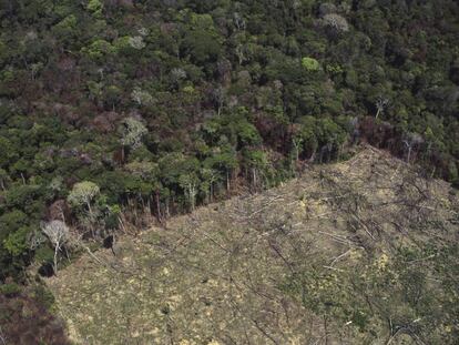 Área desmatada na floresta amazônica para agricultura.