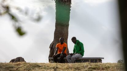 Inmigrantes acogidos en Mérida