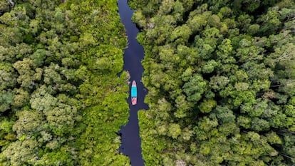 Un crucero por el parque nacional de Tanjung Putting, en la isla de Borneo (Indonesia).