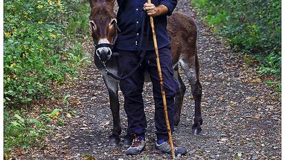 El burro Paolo, protagonista de Zinzindurrunkarratz, con Oskar Alegría, director de la película navarra.