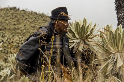 Hugo Quelal recorre el páramo junto a sus compañeros de la guardia ambiental para prevenir posibles infracciones. Aparte de los cazadores furtivos o los turistas irresponsables, una de sus principales preocupaciones son los incendios, casi siempre provocados por vecinos de la zona insatisfechos con la política ambiental.