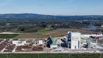 La planta de biomasa forestal de Greenalia, en Curtis.