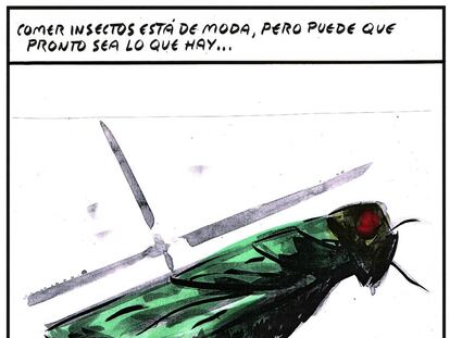 El Roto