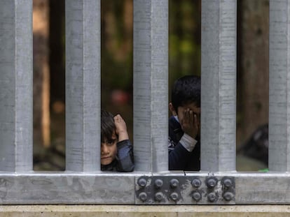 Niños migrantes de familias sirias e iraquíes, tras el muro fronterizo que separa Polonia de Bielorrusia, cerca de la localidad polaca de Bialowieza, el 29 de mayo.