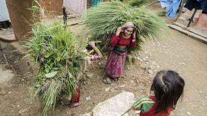 Escena diaria en el pueblo de Narapani, en Nepal, uno de los países más afectados por los impactos del cambio climático. 