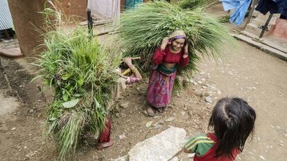 Escena diaria en el pueblo de Narapani, en Nepal, uno de los países más afectados por los impactos del cambio climático. 