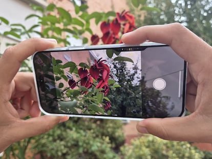 In tests conducted with the iPhone 16 Pro Max, there were no significant improvements over photos taken by its predecessor.