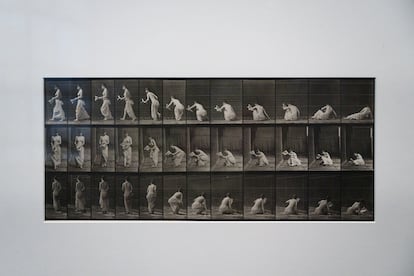 Una de las imágenes de la exposición 'Eadweard Muybridge: Fotografía y movimiento', en el Museo Universidad de Navarra.