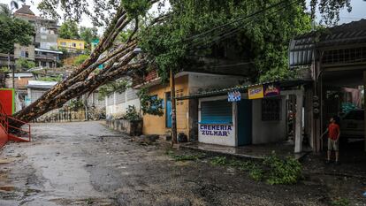 Un árbol caído sobre una vivienda tras el paso de la depresión tropical Doce-E , que se convirtió en el huracán Kay, en Acapulco.