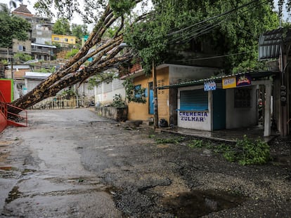 Un árbol caído sobre una vivienda tras el paso de la depresión tropical Doce-E , que se convirtió en el huracán Kay, en Acapulco.