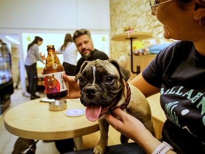 Adaptar ciudades mascotas