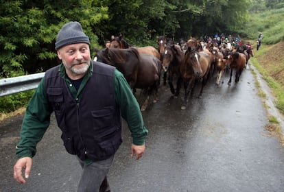 Un vecino conduce los caballos desde el monte hasta el "curro", donde se realiza la rapa. Las primeras noticias de una rapa se remontan al siglo XVIII.