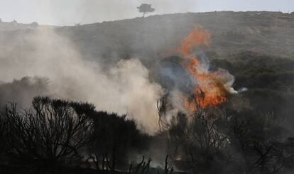 Incendio forestal en La Morcuera.