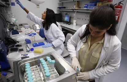 Dos técnicos de laboratorio de una empresa andaluza de biotecnología.