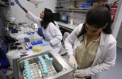 Dos t&eacute;cnicos de laboratorio de una empresa andaluza de biotecnolog&iacute;a.