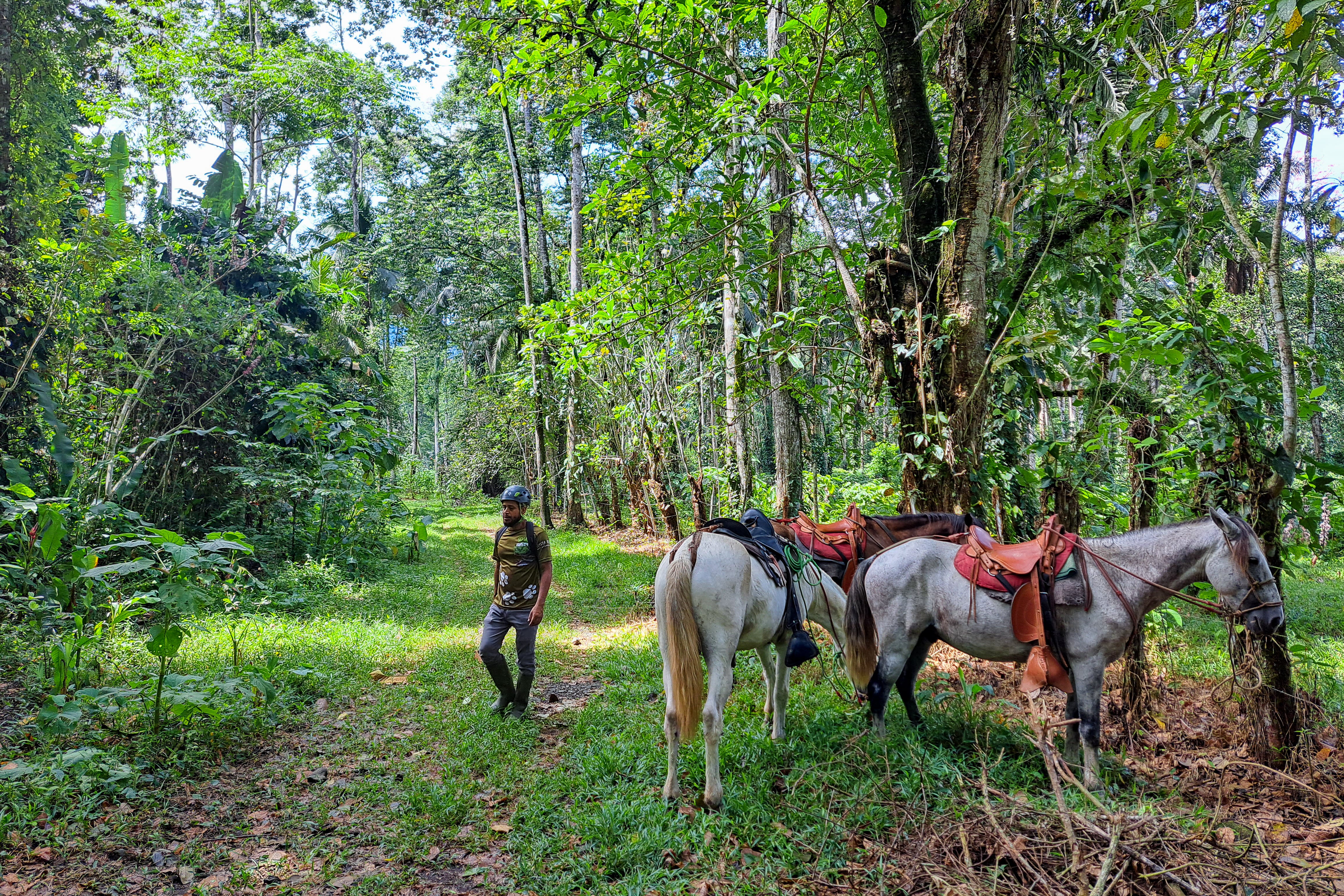 Al turismo sostenible en Costa Rica, modelo de la región, lo amenaza la masificación