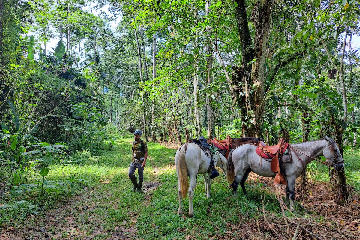 Turismo sostenible en Costa Rica: entre el modelo ejemplar y los riesgos de la masificación