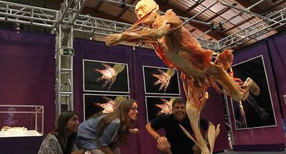 Un aspecto de la muestra 'The human body', en Marbella.