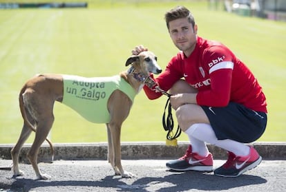 Kike Sola apoya la campaña de adoptar un galgo.