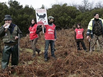 Los ecologistas irrumpen en una cacería de zorros en Pontecaldelas