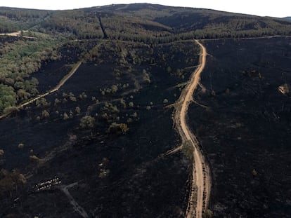 Imagen tomada con un dron de la superficie calcinada en el incendio de la sierra de la Culebra.
