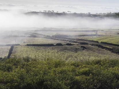 La niebla envuelve el paisaje de Nisdafe en los altos de Valverde, al norte de la isla de El Hierro.