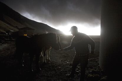Un granjero intenta atraer hacia los establos a sus caballos para evitar que puedan intoxicarse con las cenizas.