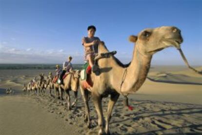 Una caravana de camellos en las dunas de la Montañas del Eco, cerca de Dunhuang, en provincia china de Gansu.