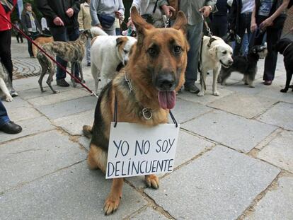 Protesta por no poder soltar a los perros en el Retiro