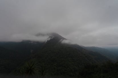 La región de las Montañas del Estado de Veracruz alberga a algunos de los poblados con mayor producción de café en México.