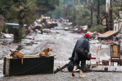 Al menos 42 personas han muerto y 46 permanecen desaparecidas tras el paso de un ciclón extratopical por el sur de Brasil. En la imagen, un hombre camina por una calle afectada por el fenómeno meteorológico en el municipio de Lajeado, en el Estado de Río Grande do Sul, el 8 de septiembre.