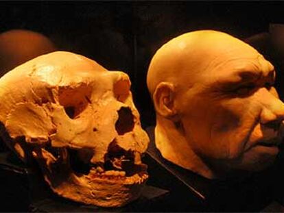 Réplica y recreación del cráneo número 5 de Atapuerca.