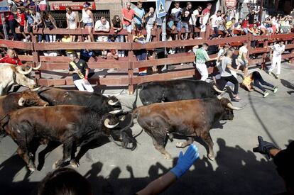 Toros en el primer encierro de San Sebasti&aacute;n de los Reyes.